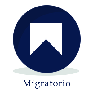 portfolio-img